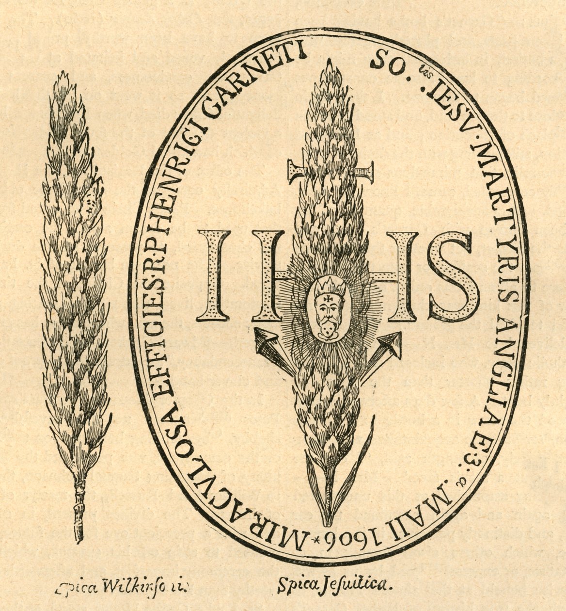 Ansiktet i halmen. - Fra Abbots Anthologia, 1613, 1897. av Unbekannt