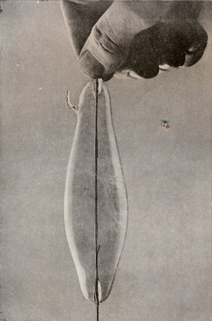Den første elektriske glødelampen, c1916 av Unbekannt