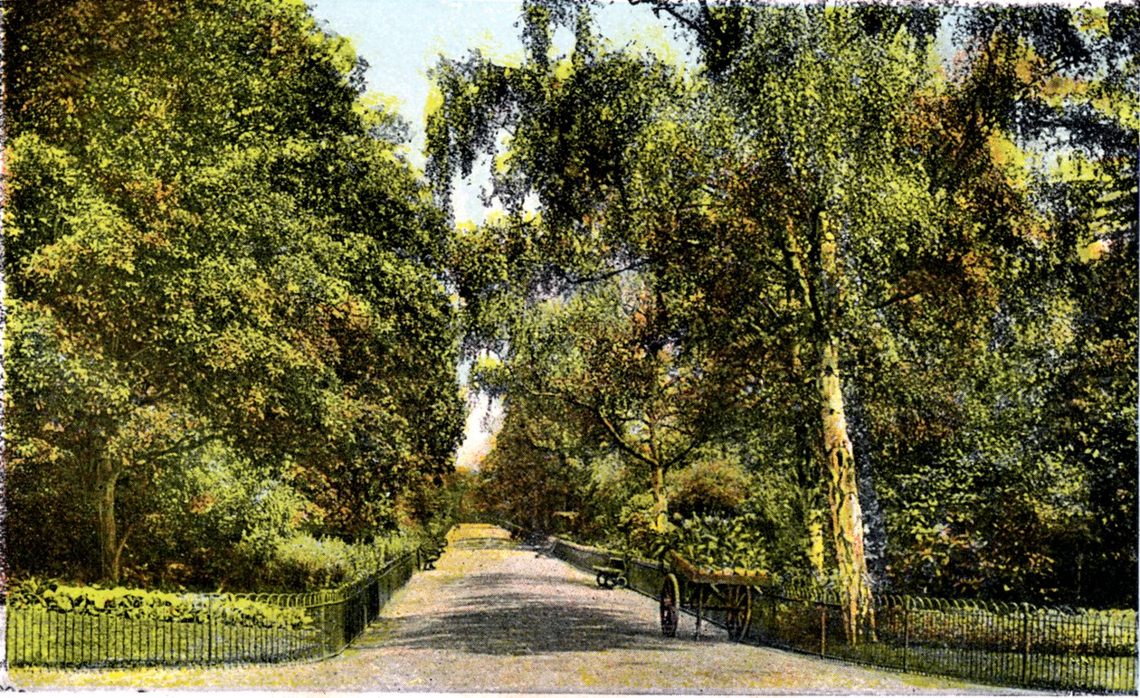 The Flower Walk, Kensington Gardens, London, 1900-tallet av Unbekannt