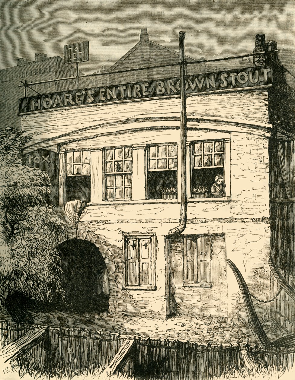 The Fox-Under-The-Hill., 1881. av Unbekannt