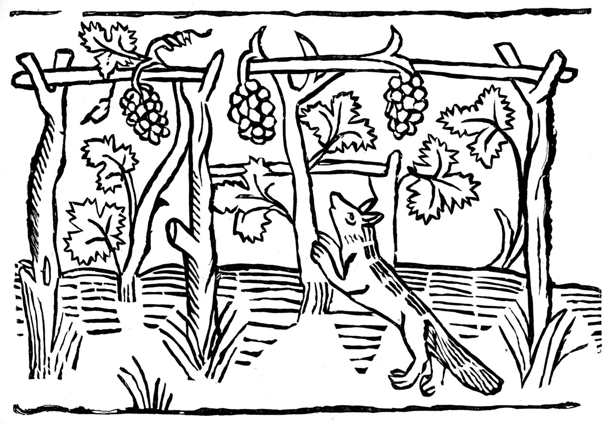 The Fox and the Grapes, 1400-tallet 1893 av Unbekannt