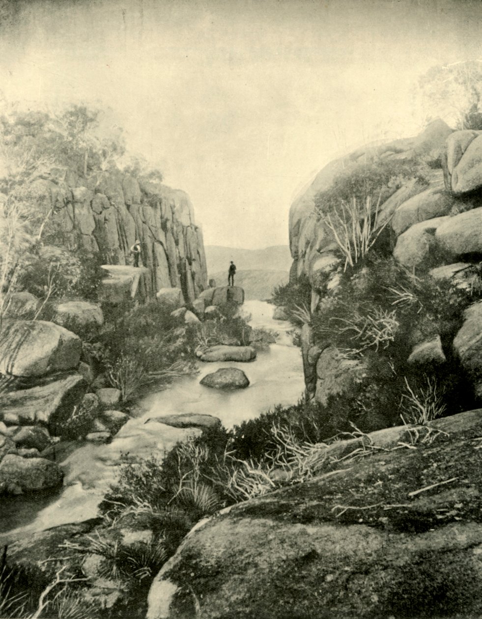 The Gorge, Buffalo Falls, viktorianske alper, 1901. av Unbekannt