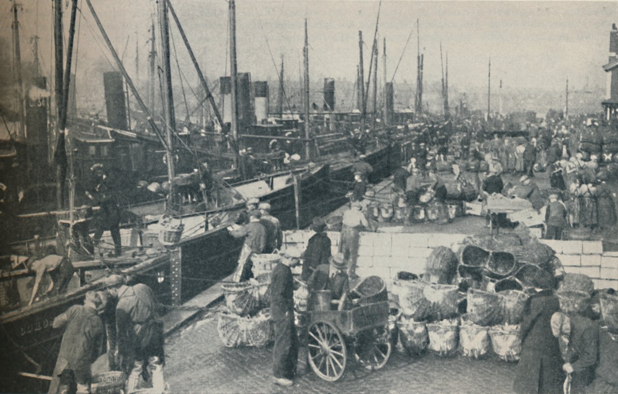 Sildesesongen i full gang, 1937 av Unbekannt