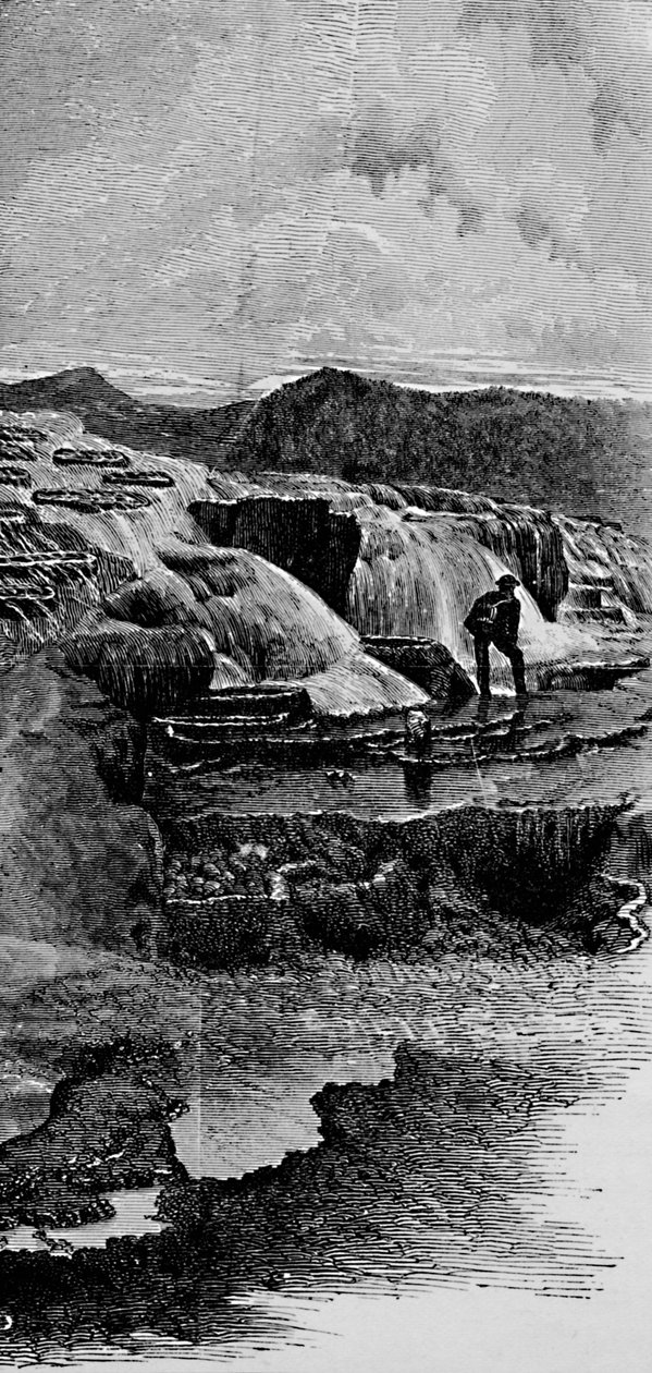 The Hot Springs nær Gardiners River, 1883 av Unbekannt