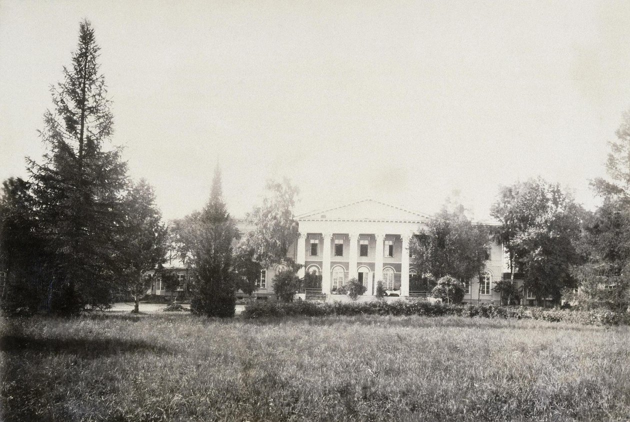 Huset til Levashovs Estate Aspen Grove, 1885 av Unbekannt