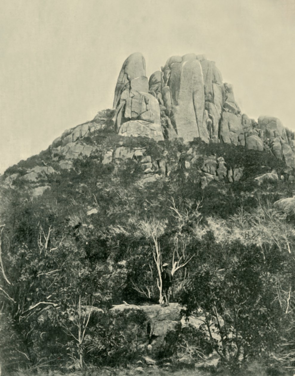 The Hump, Buffalo Mountains, 1901. av Unbekannt