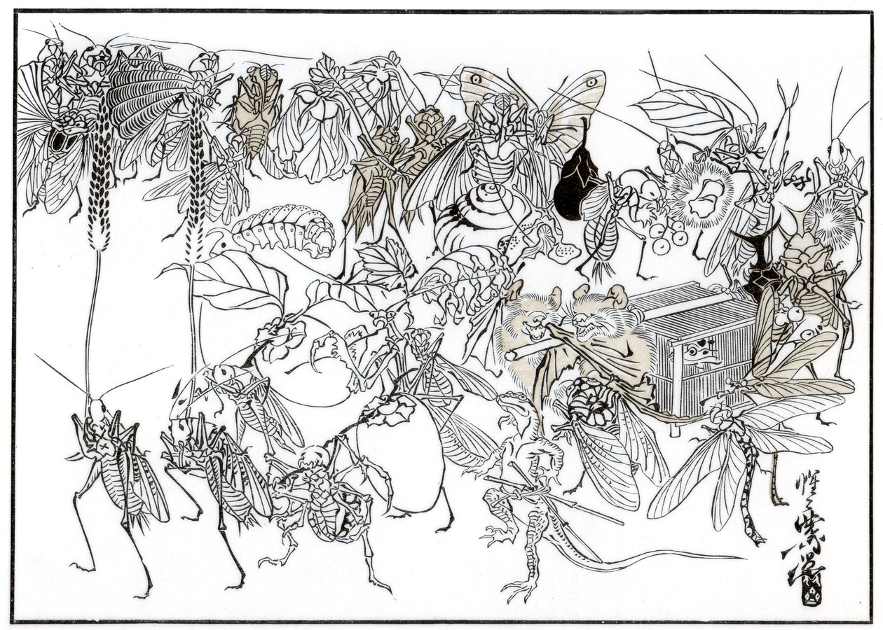 Insektet Daimio Cortege, 1878 1886 av Unbekannt