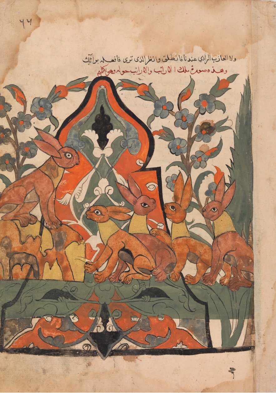 Harenes konge i råd med sine undersåtter, Folio fra en Kalila wa Dimna, 1700-tallet. av Unbekannt