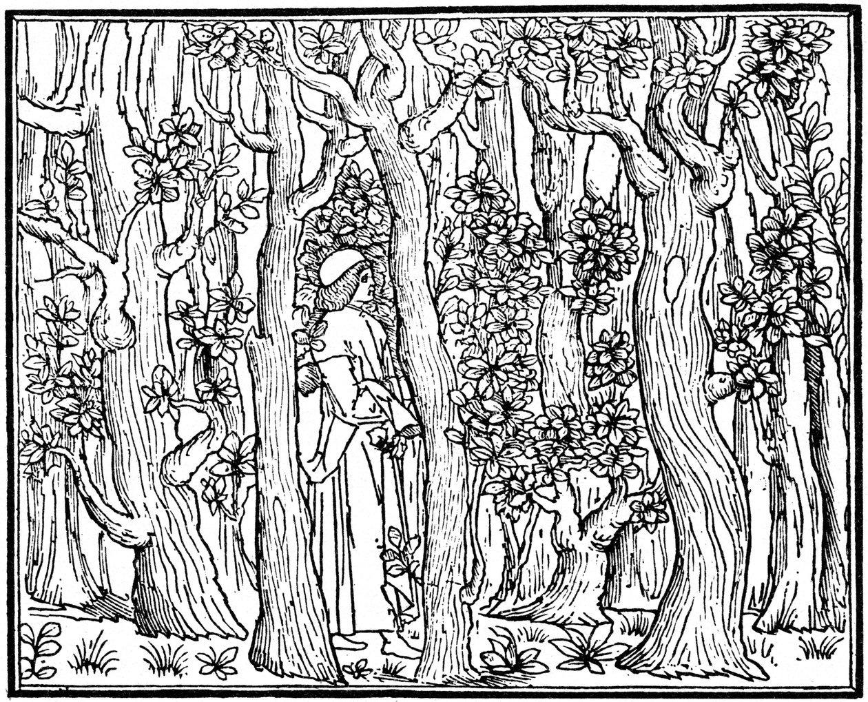 The Lover in the Wood, 1499 1964 av Unbekannt