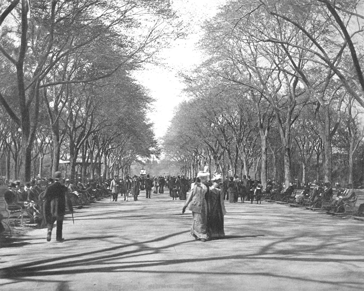 The Mall, Central Park, New York, USA, c1900. av Unbekannt