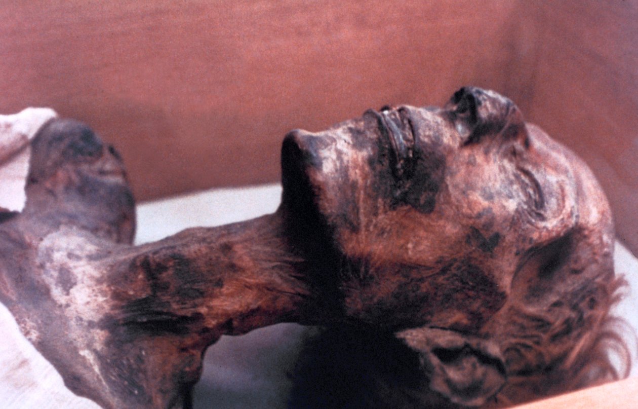 Mumien til Ramses II, Egypt, 1213 f.Kr av Unbekannt