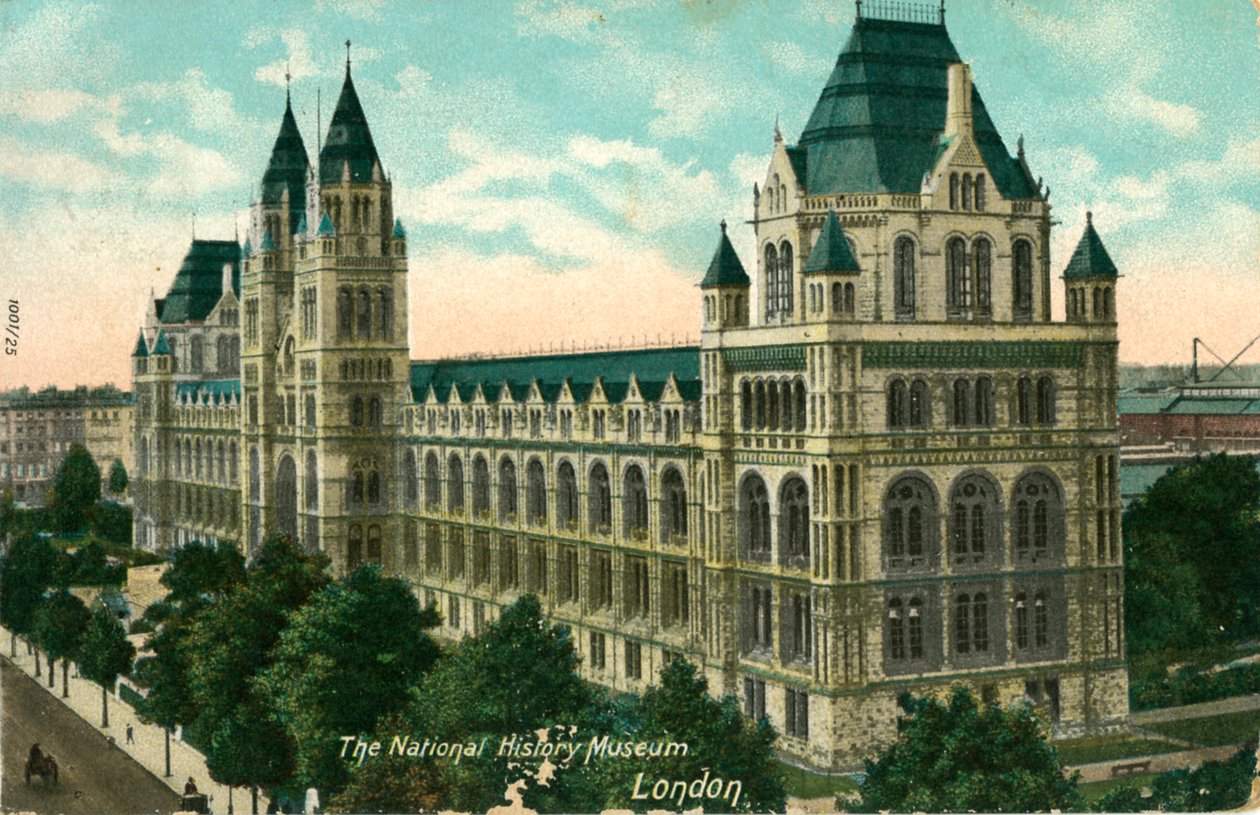 The National History Museum, London, c1910. av Unbekannt