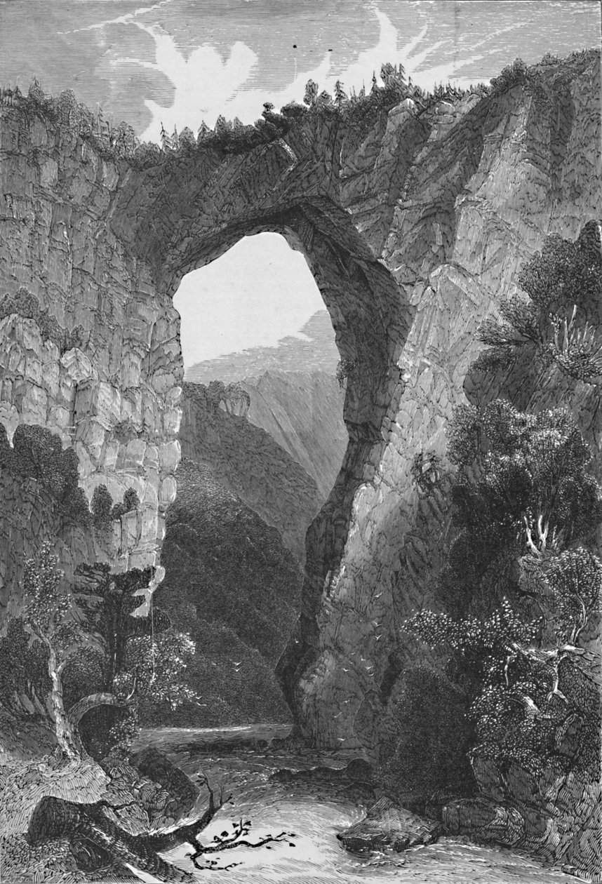 The Natural Bridge, Virginia, 1883 av Unbekannt