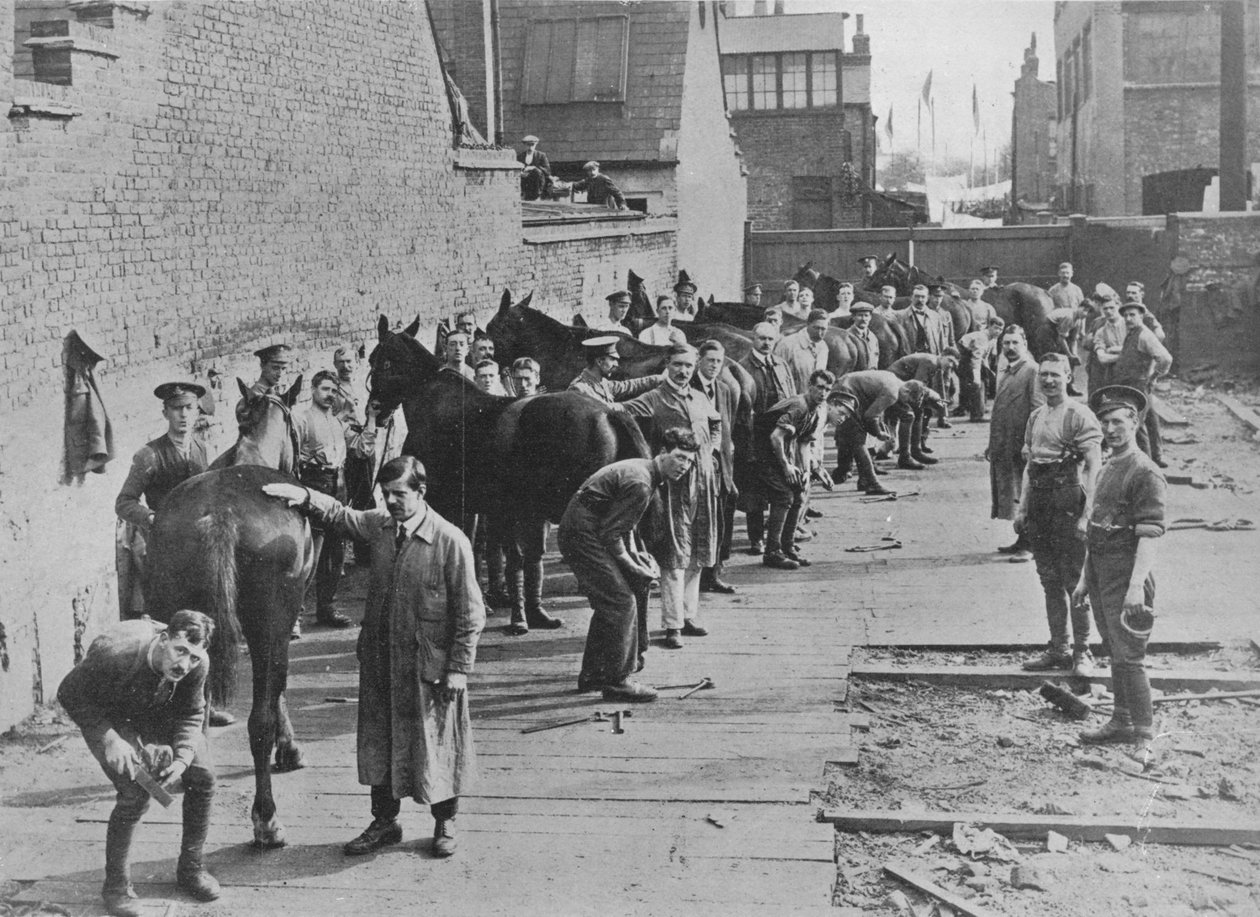 Den nye hæren under trening ved Farriers School, 1915 av Unbekannt