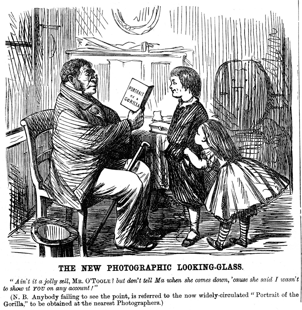 The New Photographic Looking Glass, tegneserie fra Punch, daglig bevis på menneskets opprinnelse, 1861 av Unbekannt