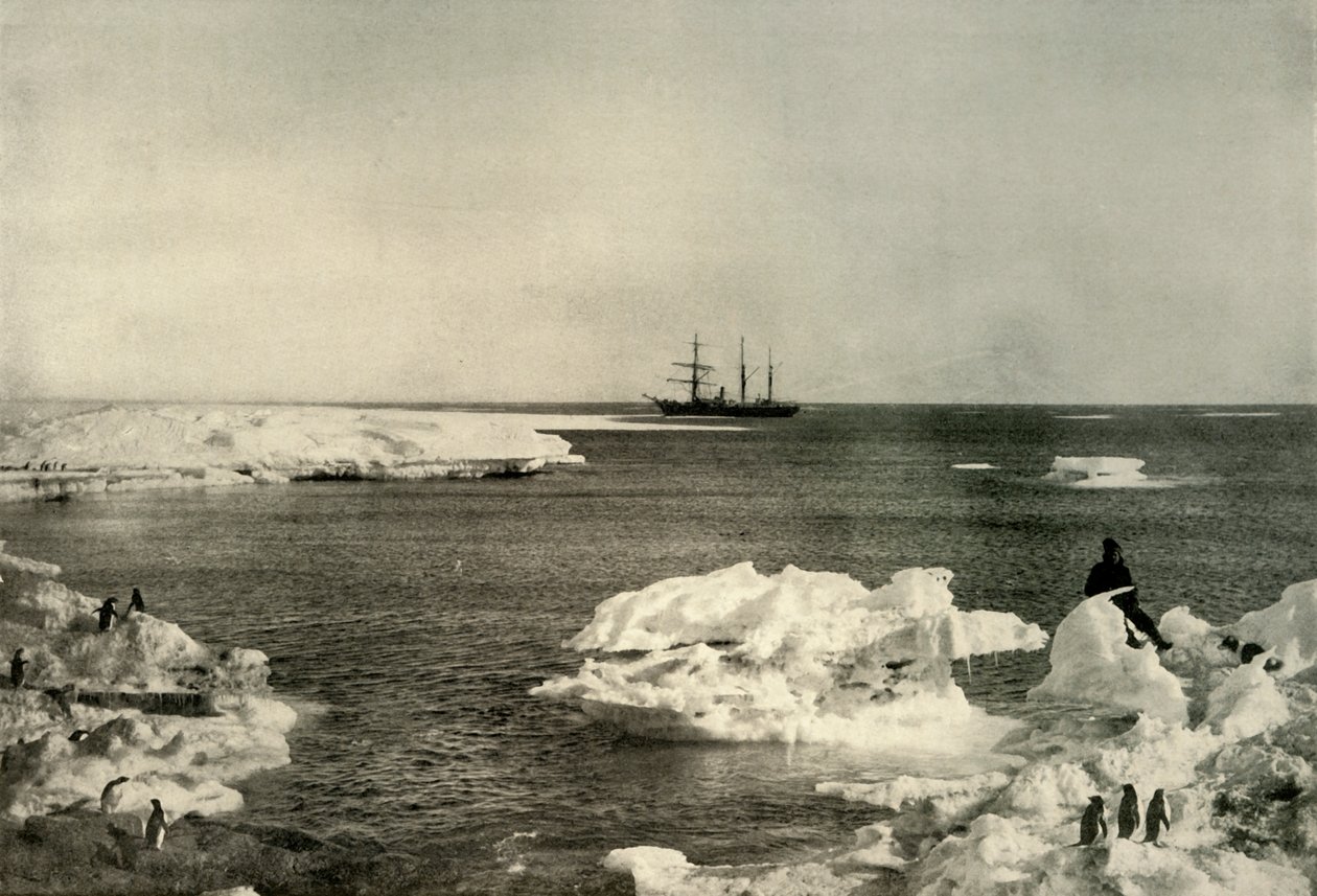 The Nimrod Lying Off The Penguin Rookery, c1908, 1909. av Unbekannt