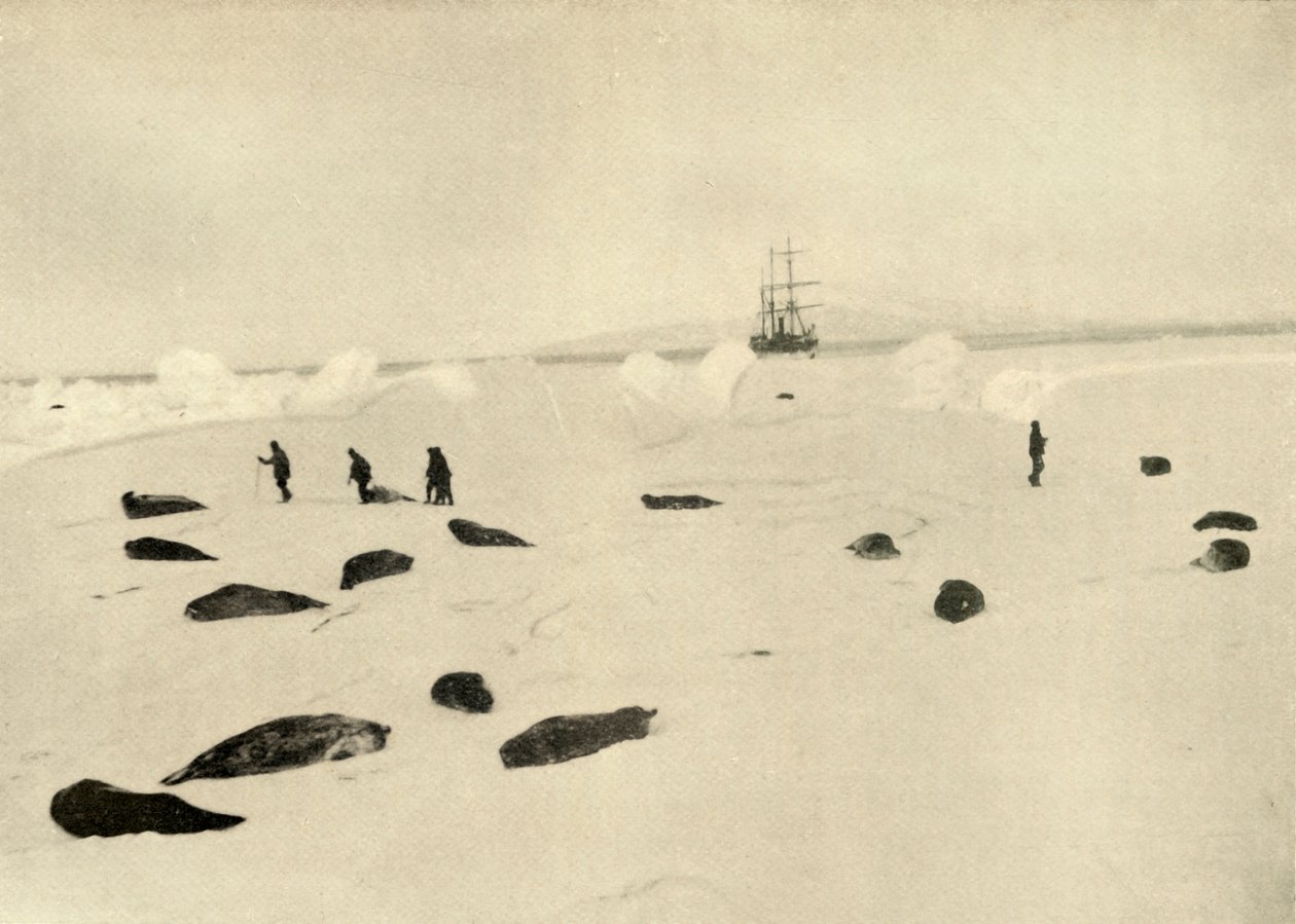 Nimrod ved Pram Point 4. mars 1909 av Unbekannt