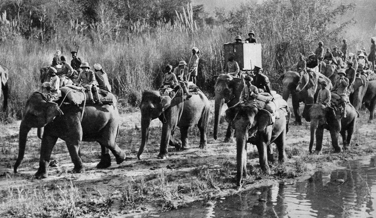 Prince of Wales tigerskyting i India, 1921 av Unbekannt