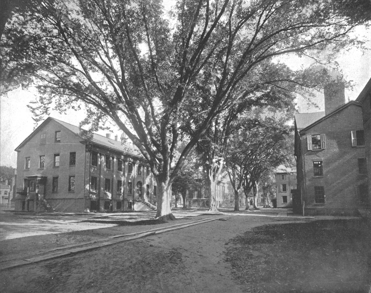 The Reading Hall and Treasury, Yale College, New Haven, Connecticut, USA, c1900. av Unbekannt