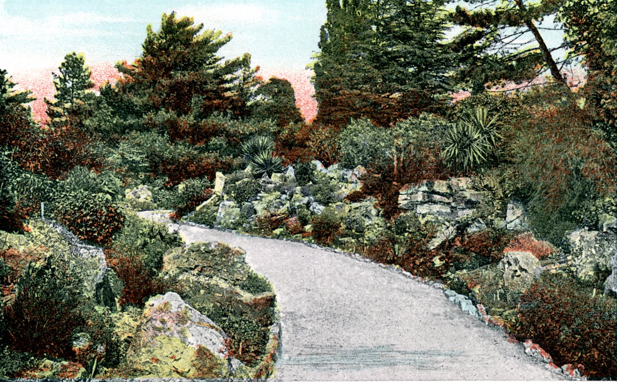 The Rockery, Kew Gardens, Richmond upon Thames, London, 1900-tallet av Unbekannt