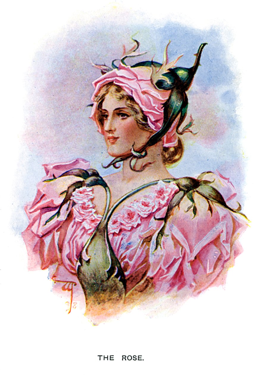 Rosen, 1899 av Unbekannt