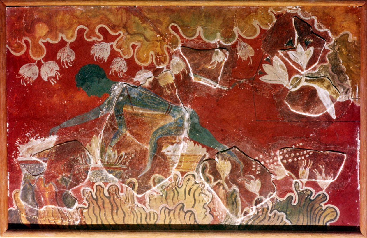 The Saffron-Gatherer Fresco fra Minoan Royal Palace, Knossos, Kreta. c1400-tallet f.Kr av Unbekannt