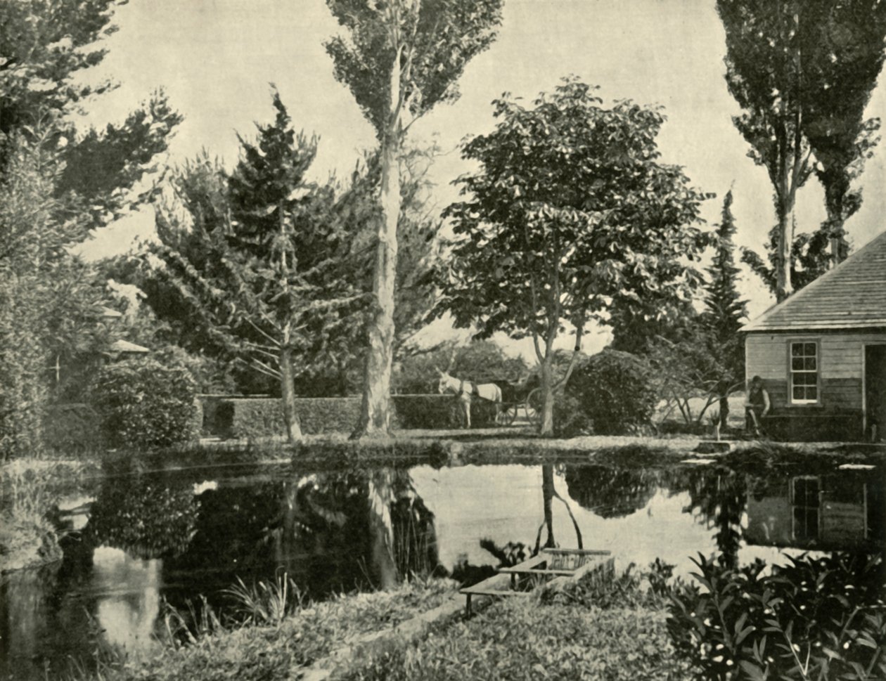The Salmon Ponds, New Norfolk, 1901. av Unbekannt