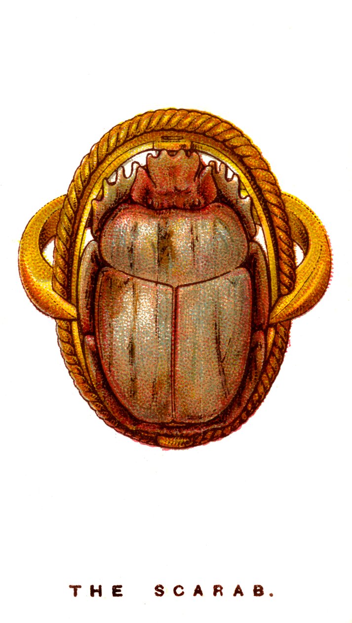 The Scarab, 1923 av Unbekannt