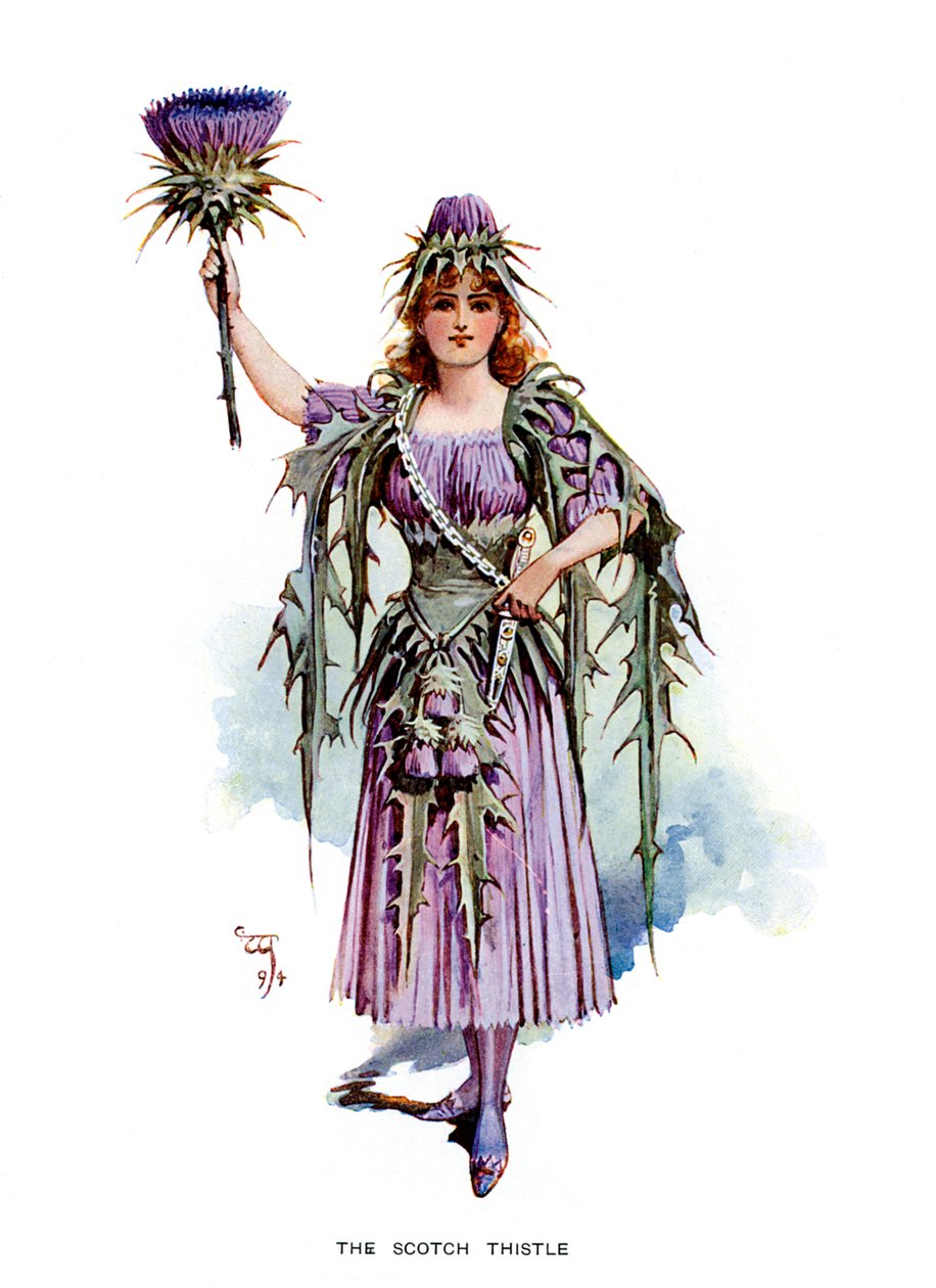 The Scotch Thistle, 1899 av Unbekannt