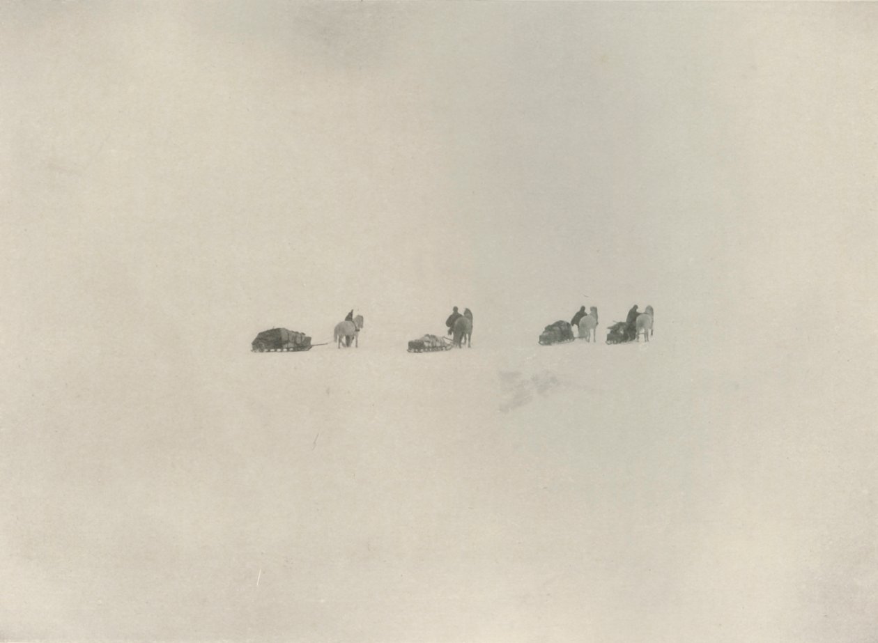 Sørpartiet marsjerer inn i det hvite ukjente, 1908, 1909. av Unbekannt