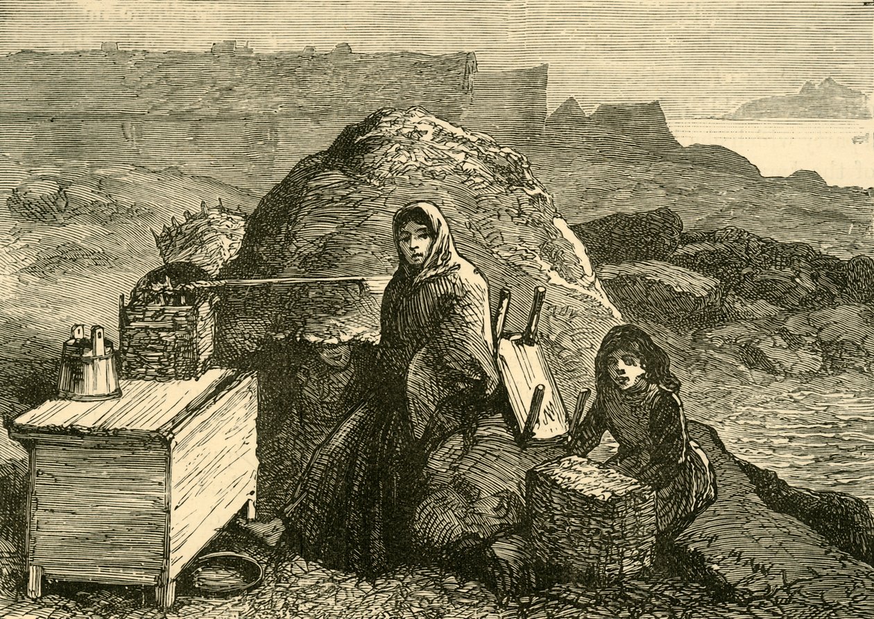 The State of Ireland: En utvist familie nær Errismore, c1880. av Unbekannt