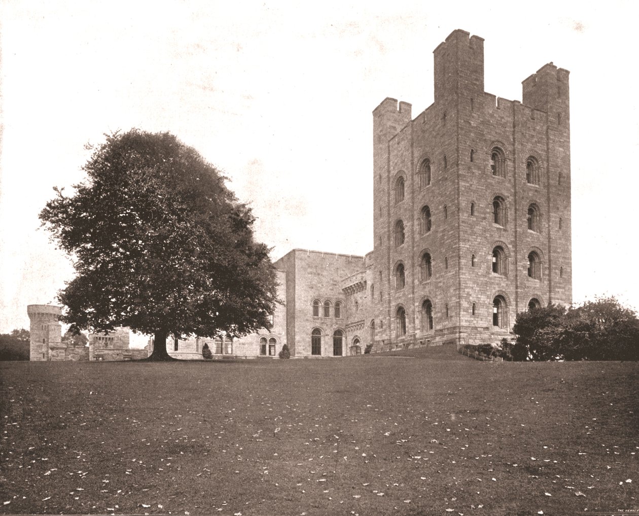 Tårnet ved Penrhyn, Caernarvonshire, Wales, 1894. av Unbekannt