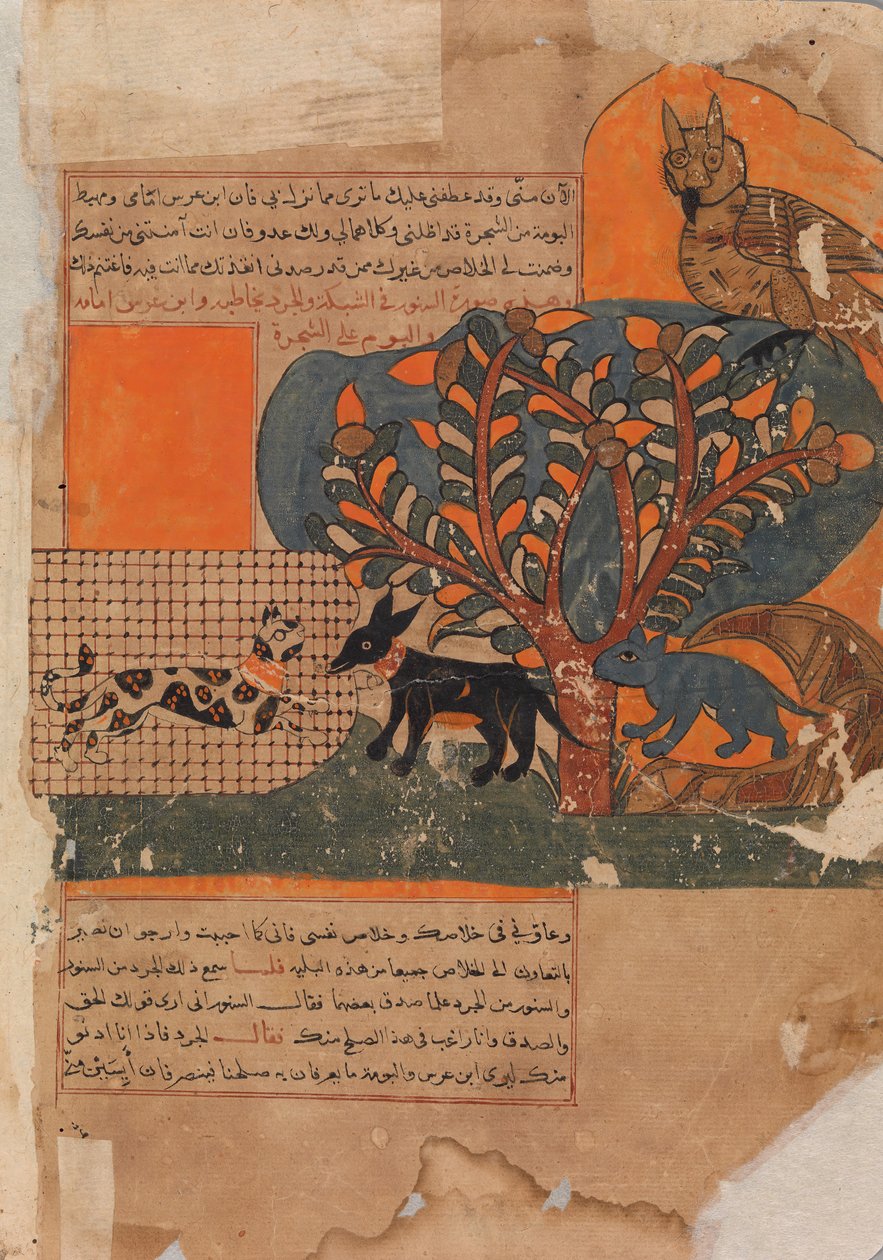 The Trapped Cat and the Frightened Mouse Rat , Folio fra en Kalila wa Dimna, 1700-tallet. av Unbekannt