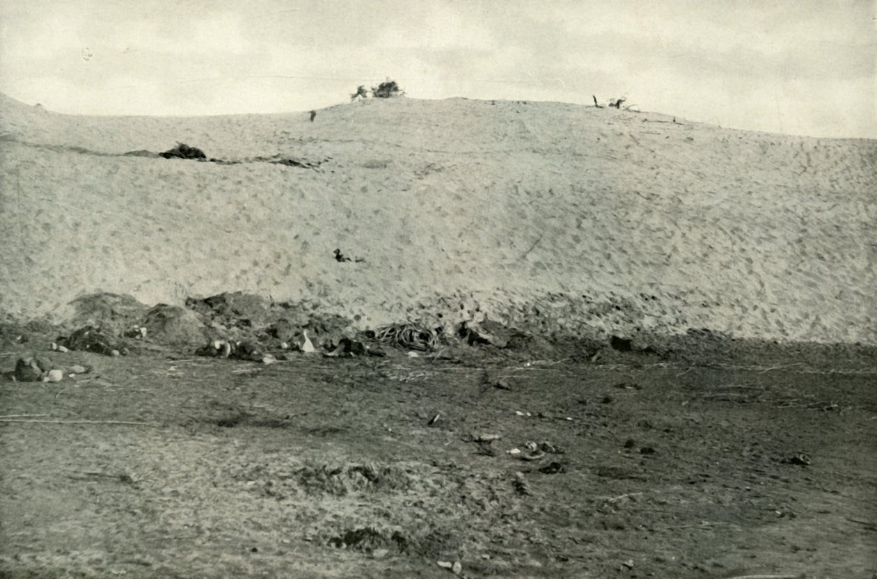 Det tyrkiske nederlaget på Suez-kanalen, c1915, 1919. av Unbekannt