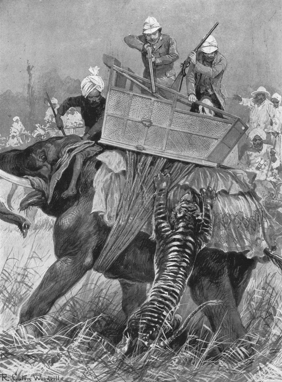 Prinsen av Wales besøk i India, 1876: Prinsens elefant anklaget av en tiger, 1901. av Unbekannt