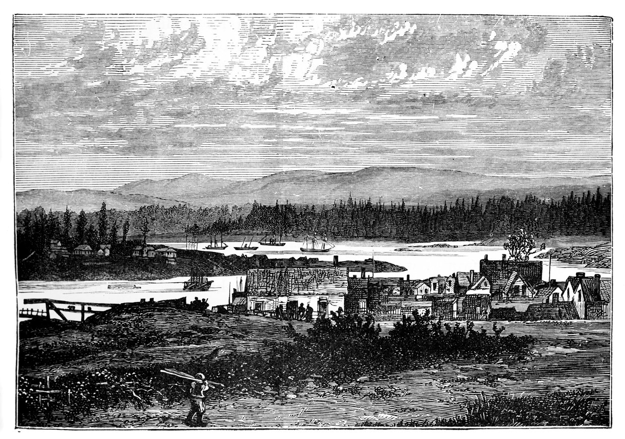 De vestlige forstedene til Victoria, Vancouver Island, Canada, c1888 av Unbekannt
