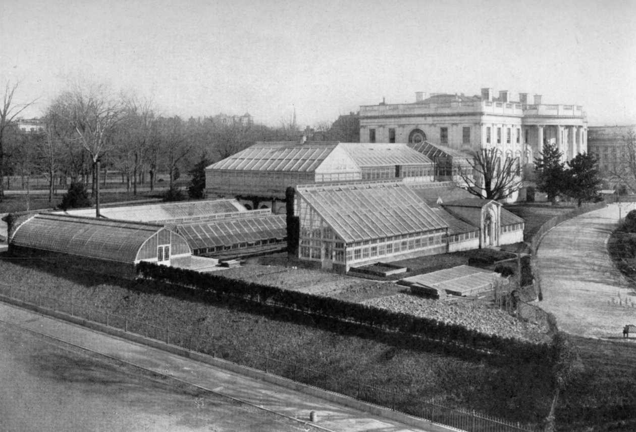 Det hvite hus og drivhusene, Washington DC, USA, 1908 av Unbekannt