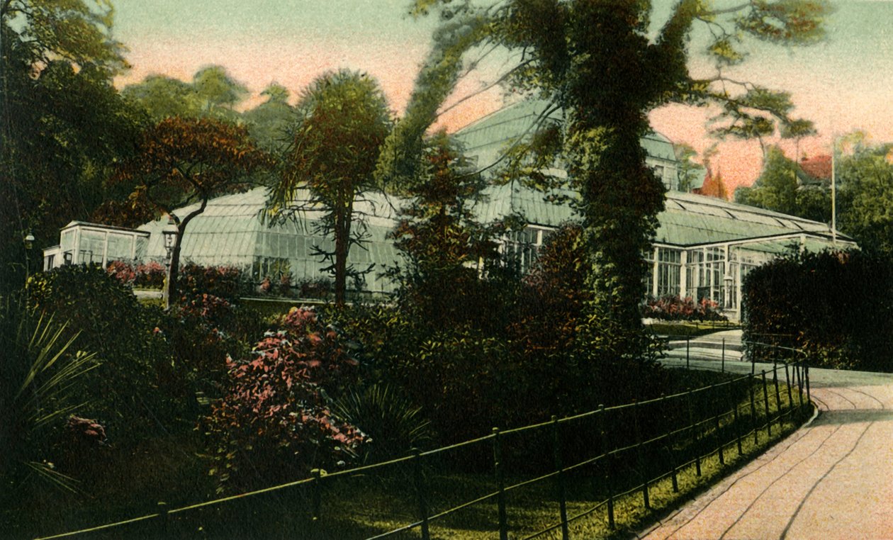 Vinterhagen, Bournemouth, 1905. av Unbekannt