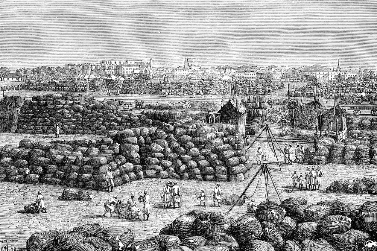 Bomullsmarkedet i Bombay, India, 1895 av Unbekannt