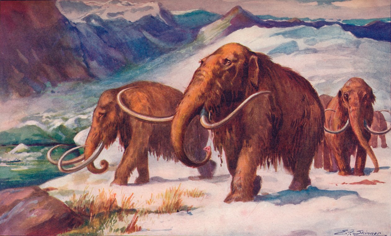 Den tidlige istiden, da mammuter streifet rundt på jorden og mennesket oppsto, 1907 av Unbekannt