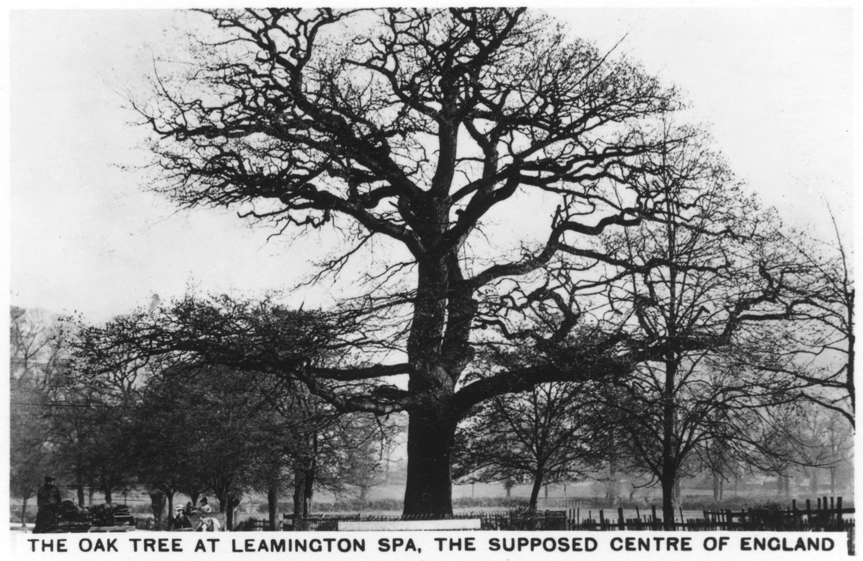 Eiken på Leamington Spa, det antatte sentrum av England, 1936 av Unbekannt
