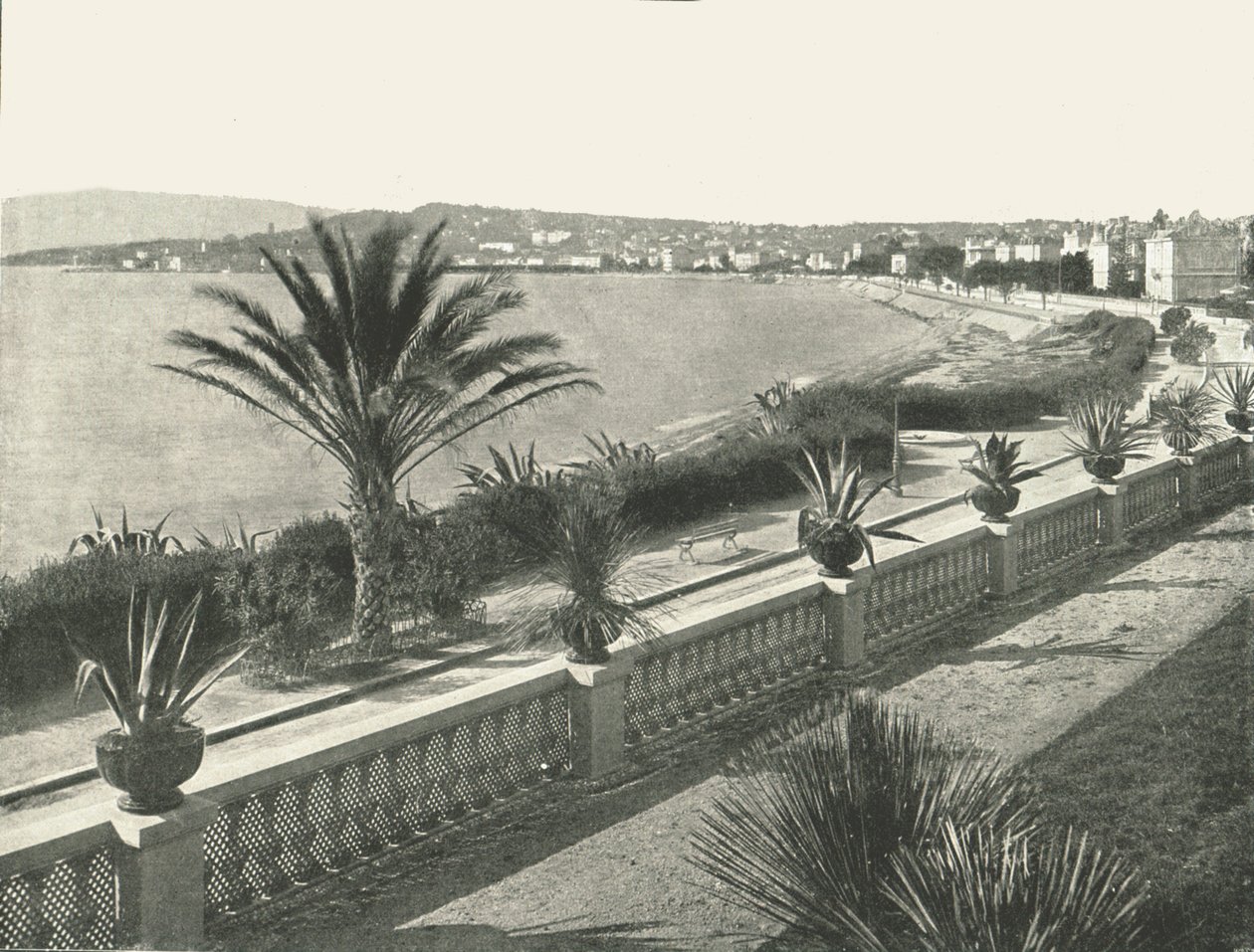Panorama av La Croisette, Cannes, Frankrike, 1895. av Unbekannt