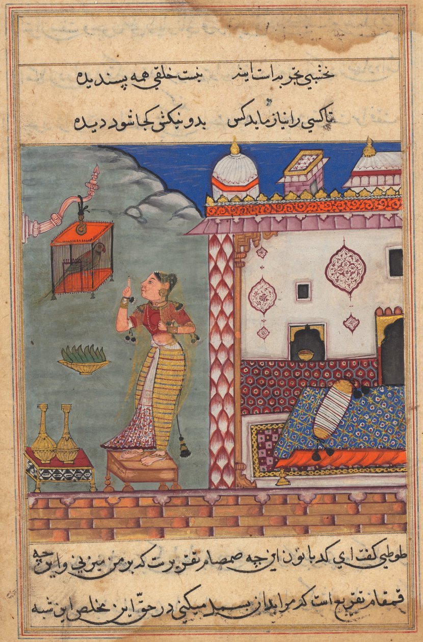 Papegøyen henvender seg til Khujasta på begynnelsen av den tjuesjuende natt, rekto av folio 185 fra Akbars Tuti-nama (Tales of a Parrot) av Unbekannt Unbekannt