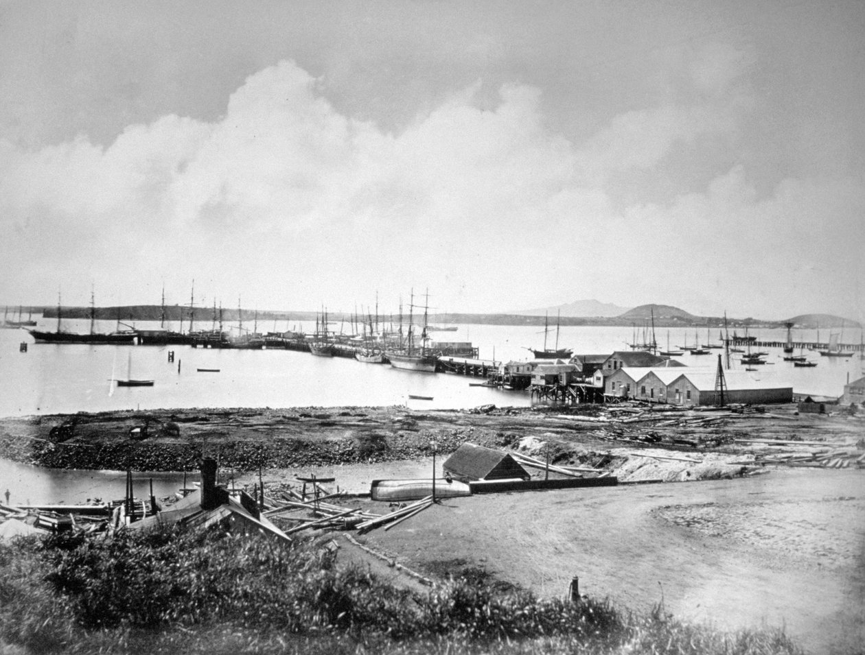 Havnen, Auckland, New Zealand, c1870-1880 av Unbekannt
