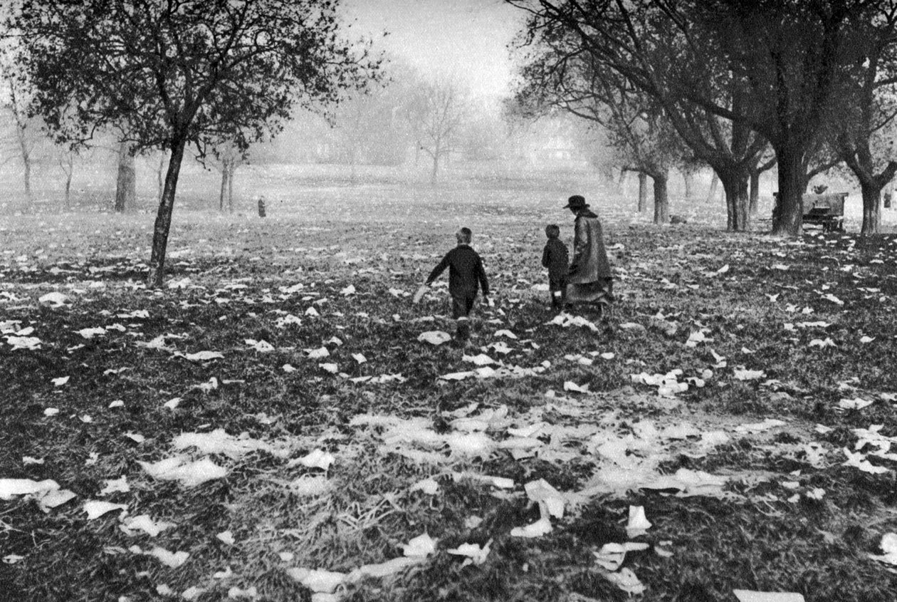 Søppelet som ble lagt igjen på Hampstead Heath etter en helligdag, London, 1926-1927 av Unbekannt
