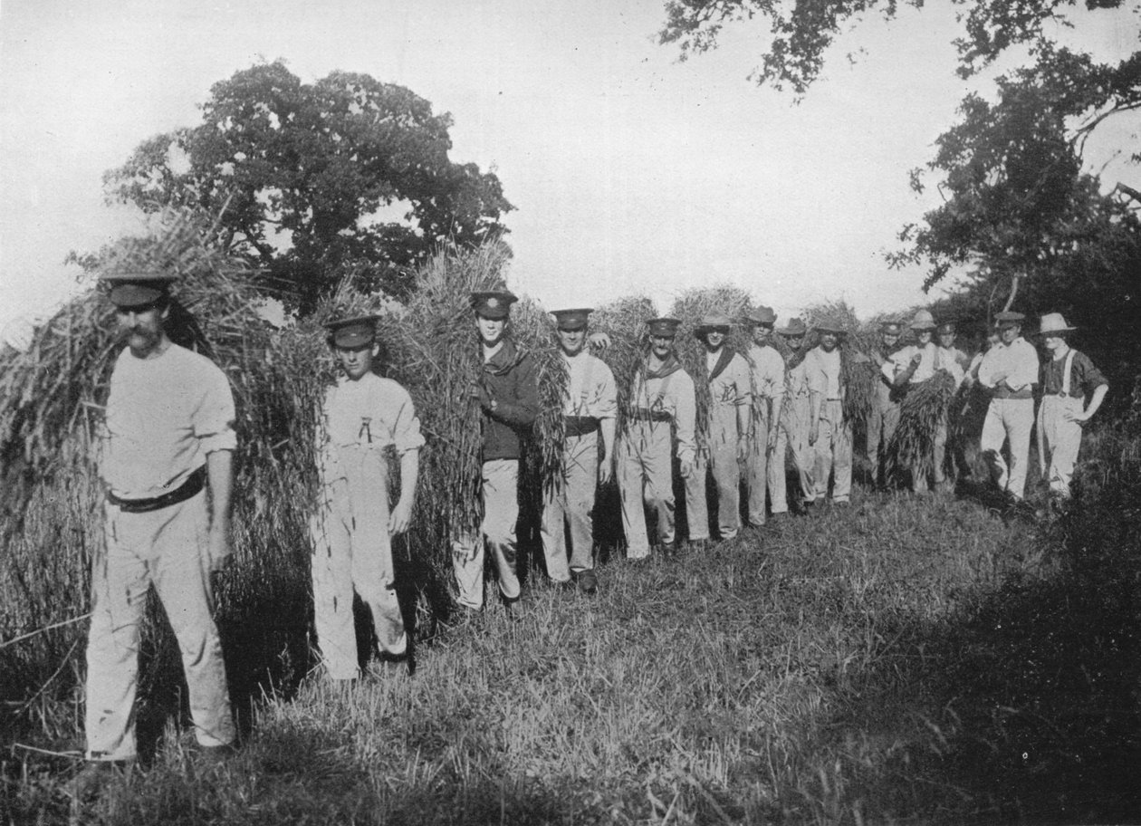 Mangelen på gårdsarbeid: Soldater som bistår med innhøsting, 1915 av Unbekannt
