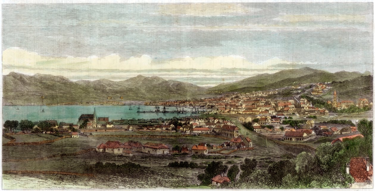 Byen og havnen Wellington, hovedstaden i New Zealand, ca 1880 av Unbekannt