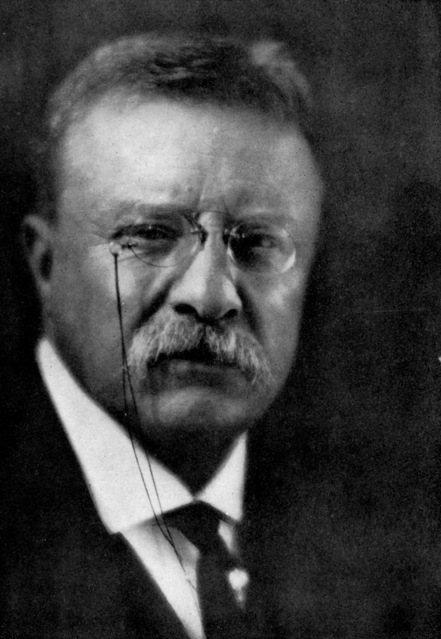 Theodore Roosevelt, 26. president i USA, 1933 av Unbekannt