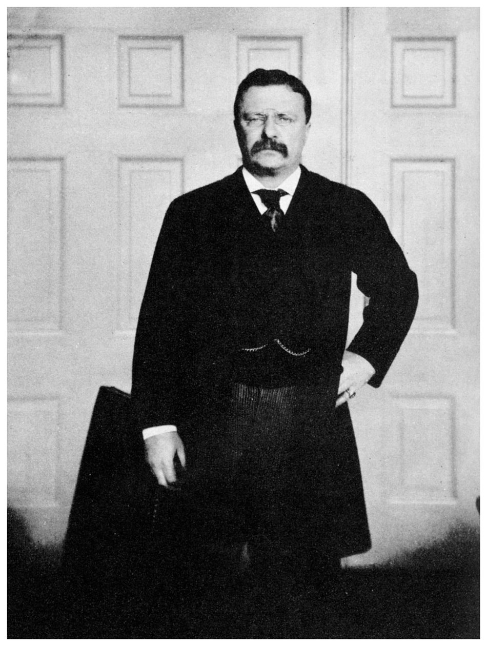 Theodore Roosevelt, 26. president i USA, ca 1900-tallet 1955 av Unbekannt