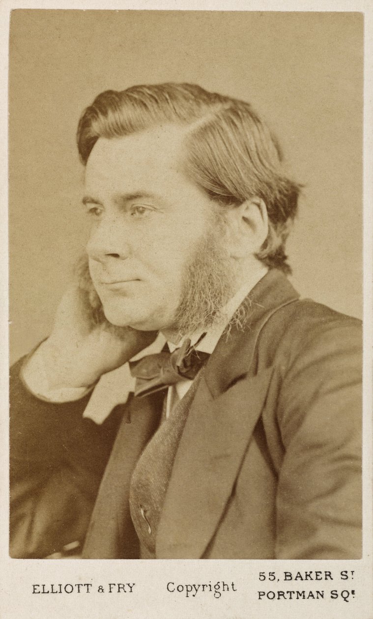 Thomas Henry Huxley , britisk biolog, c1865-1886 av Unbekannt